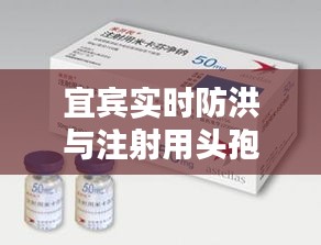 宜宾实时防洪与注射用头孢拉定价格解析