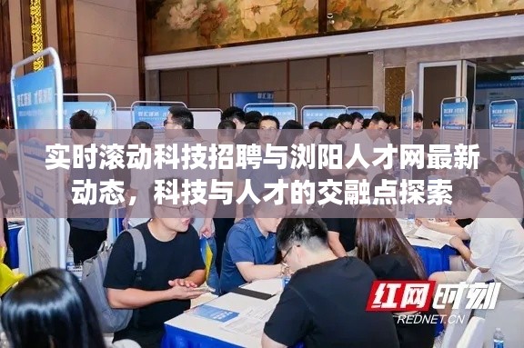 实时滚动科技招聘与浏阳人才网最新动态,科技与人才的交融点探索