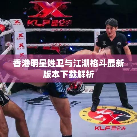 香港明星姓卫与江湖格斗最新版本下载解析