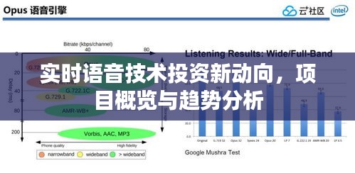 实时语音技术投资新动向,项目概览与趋势分析