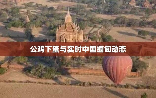 公鸡下蛋与实时中国缅甸动态