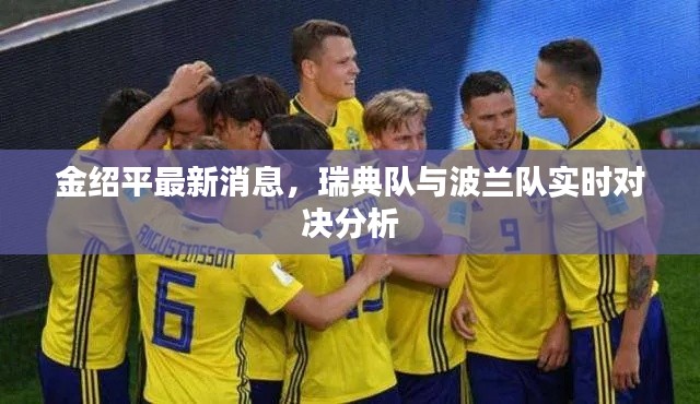 金绍平最新消息,瑞典队与波兰队实时对决分析