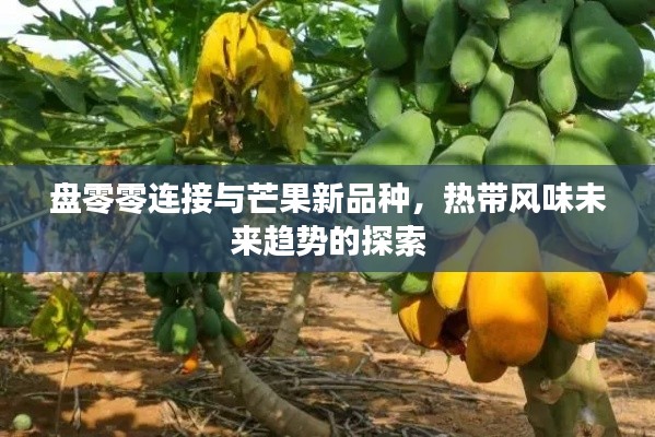 盘零零连接与芒果新品种，热带风味未来趋势的探索