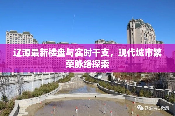 辽源最新楼盘与实时干支，现代城市繁荣脉络探索