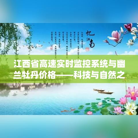 江西省高速实时监控系统与幽兰牡丹价格——科技与自然之美的和谐交融