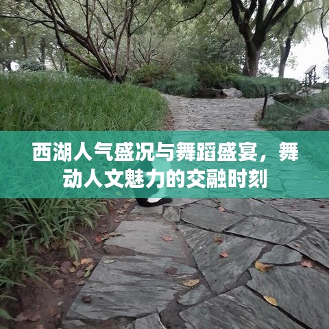 西湖人气盛况与舞蹈盛宴,舞动人文魅力的交融时刻