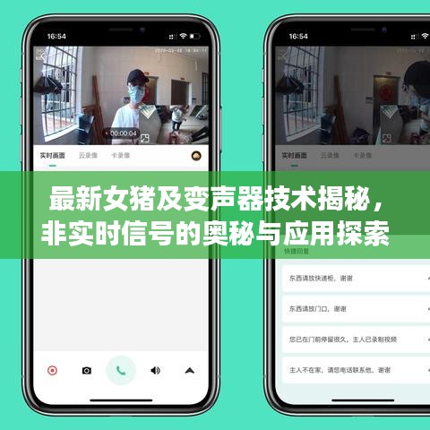 最新女猪及变声器技术揭秘，非实时信号的奥秘与应用探索