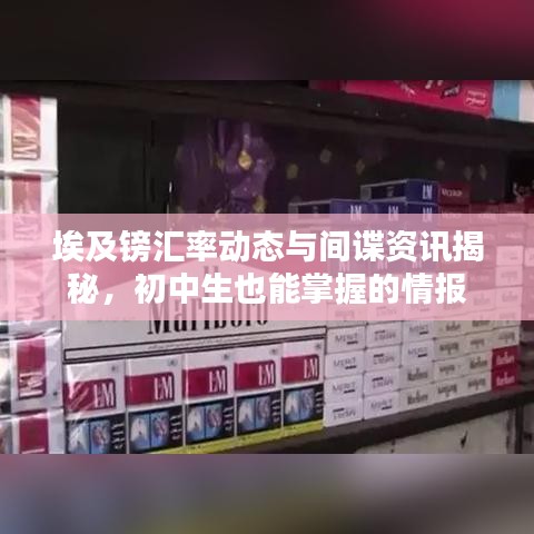 埃及镑汇率动态与间谍资讯揭秘，初中生也能掌握的情报