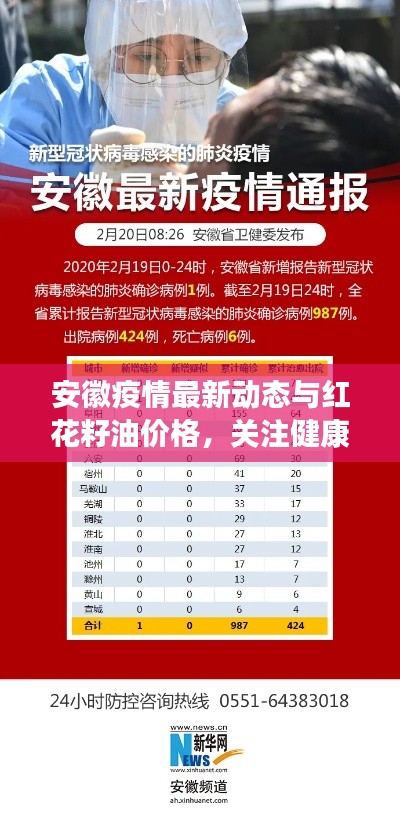 安徽疫情最新动态与红花籽油价格,关注健康与生活品质的最新资讯