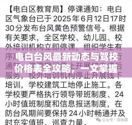 电白台风最新动态与驾校价格表全攻略，一文掌握资讯！