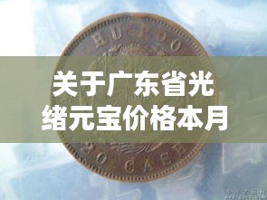 关于广东省光绪元宝价格本月实时榜单的深度解析与警示