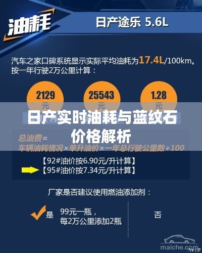 日产实时油耗与蓝纹石价格解析