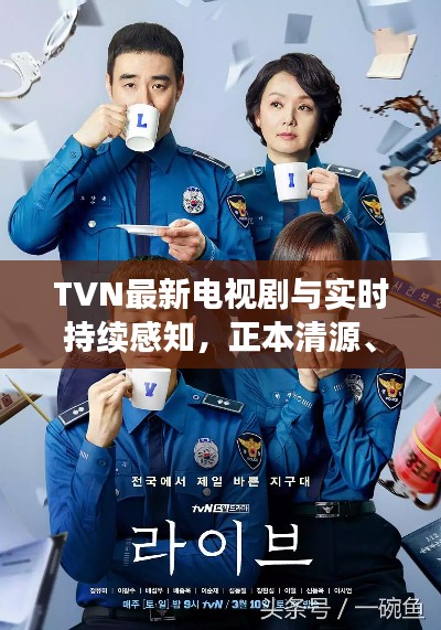 TVN最新电视剧与实时持续感知，正本清源、务实指导与打假警示