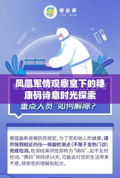凤凰军情观察室下的穗康码诗意时光探索