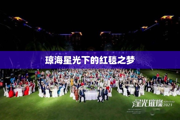 琼海星光下的红毯之梦