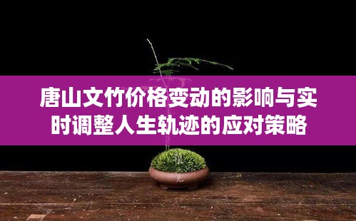 唐山文竹价格变动的影响与实时调整人生轨迹的应对策略