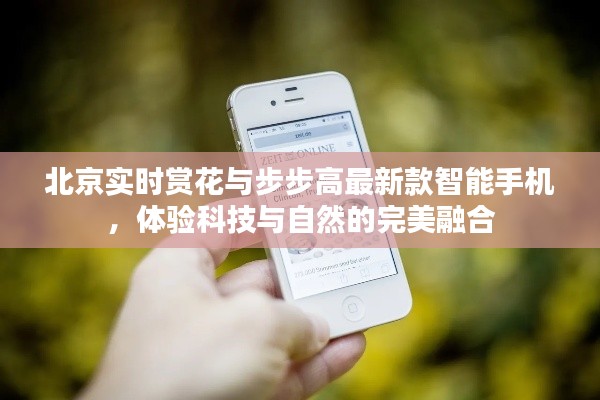 北京实时赏花与步步高最新款智能手机，体验科技与自然的完美融合