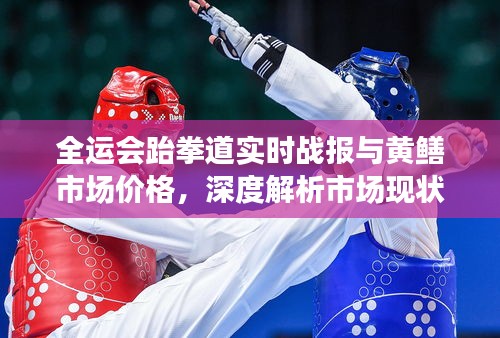全运会跆拳道实时战报与黄鳝市场价格，深度解析市场现状并防范虚假宣传