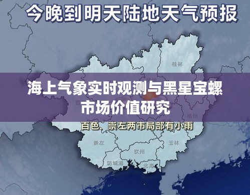 海上气象实时观测与黑星宝螺市场价值研究
