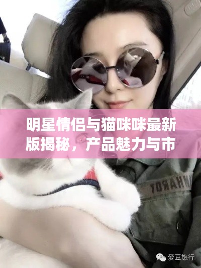 明星情侣与猫咪咪最新版揭秘,产品魅力与市场反响大揭秘