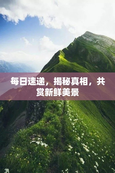 每日速递，揭秘真相，共赏新鲜美景