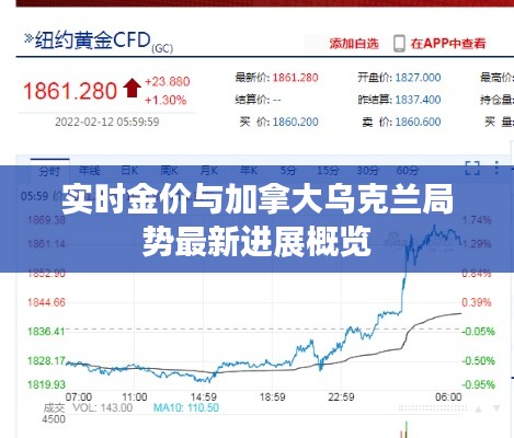 实时金价与加拿大乌克兰局势最新进展概览