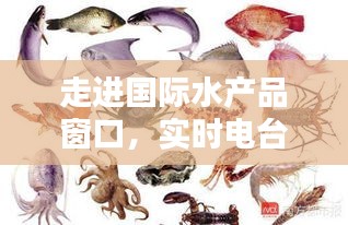 走进国际水产品窗口,实时电台与沙锥鱼价格探秘