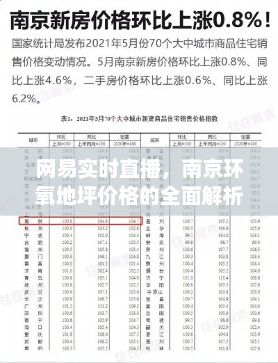 网易实时直播，南京环氧地坪价格的全面解析与深度解读