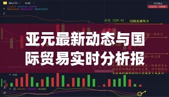 亚元最新动态与国际贸易实时分析报告,雨情影响下的最新进展