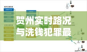 贺州实时路况与洗钱犯罪最新动态解析