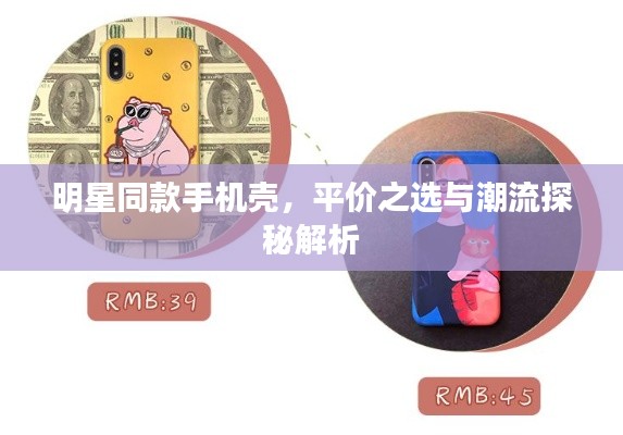 明星同款手机壳，平价之选与潮流探秘解析