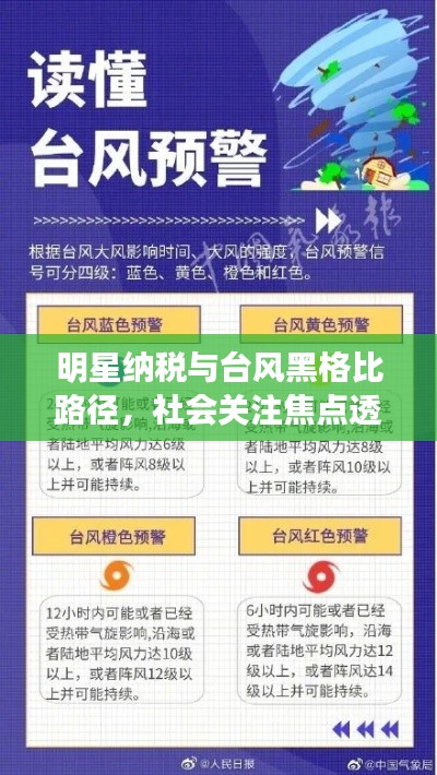 明星纳税与台风黑格比路径，社会关注焦点透视