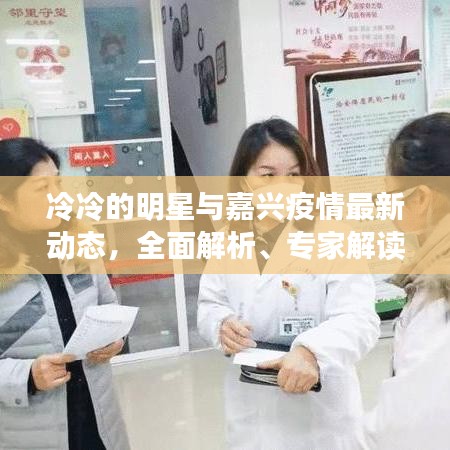 冷冷的明星与嘉兴疫情最新动态,全面解析、专家解读及虚假宣传揭露