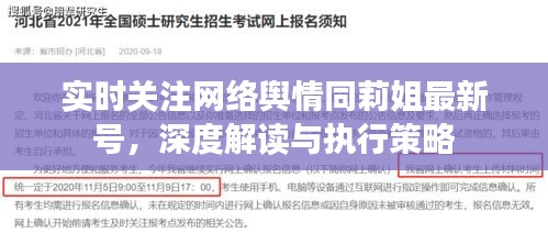 实时关注网络舆情同莉姐最新号,深度解读与执行策略