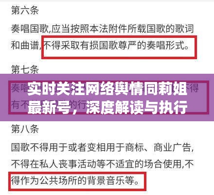 实时关注网络舆情同莉姐最新号,深度解读与执行策略