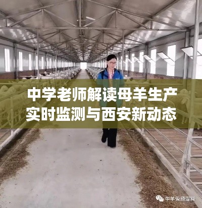 中学老师解读母羊生产实时监测与西安新动态背后的故事