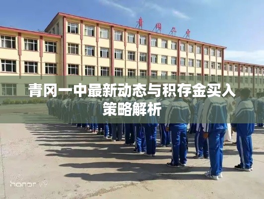 青冈一中最新动态与积存金买入策略解析