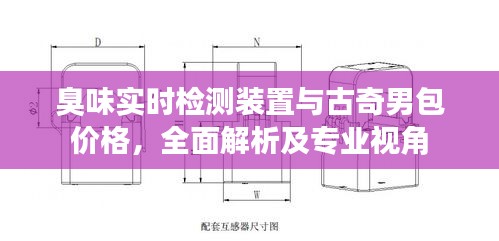 臭味实时检测装置与古奇男包价格,全面解析及专业视角