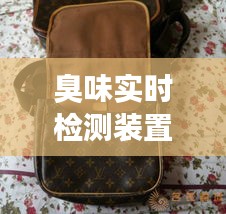 臭味实时检测装置与古奇男包价格,全面解析及专业视角
