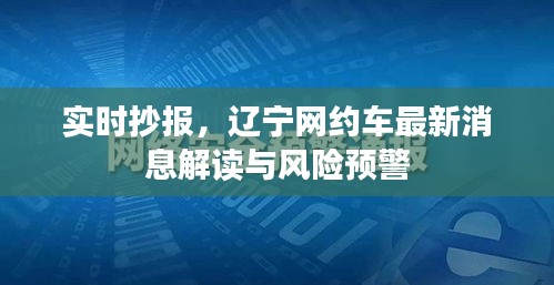 实时抄报,辽宁网约车最新消息解读与风险预警