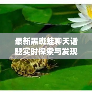 最新黑斑蛙聊天话题实时探索与发现,热议、探索与发现不间断更新