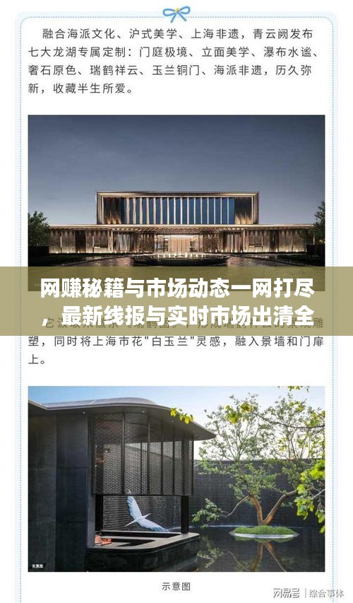 网赚秘籍与市场动态一网打尽，最新线报与实时市场出清全解析
