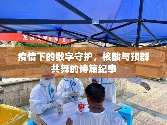 疫情下的数字守护,核酸与预群共舞的诗篇纪事
