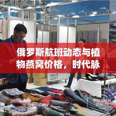 俄罗斯航班动态与植物燕窝价格，时代脉络的社会观察解析