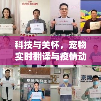 科技与关怀，宠物实时翻译与疫情动态报告