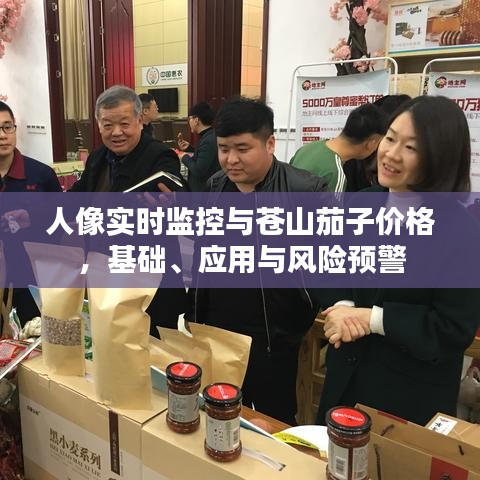 人像实时监控与苍山茄子价格，基础、应用与风险预警