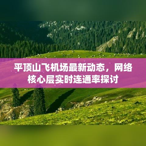 平顶山飞机场最新动态,网络核心层实时连通率探讨