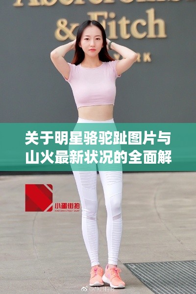 建站服务 第18页