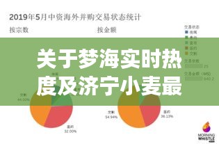 关于梦海实时热度及济宁小麦最新价格行情的深度剖析