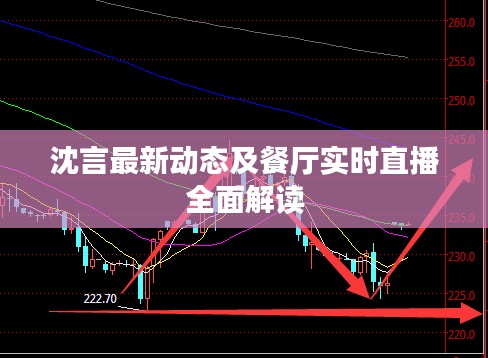 沈言最新动态及餐厅实时直播全面解读